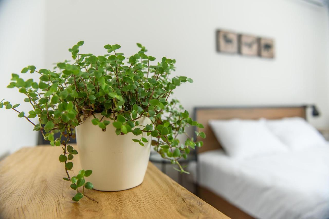 Tamtam Urban Aparthotel Cluj-Napoca Buitenkant foto